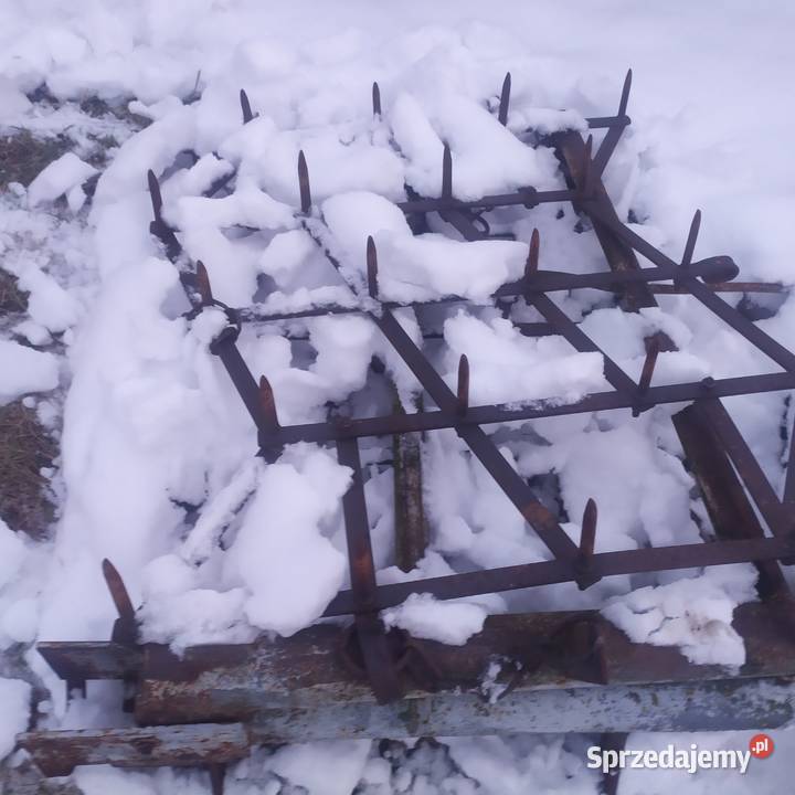 Brony 5 posiewne nieuszkodzony Pniówek