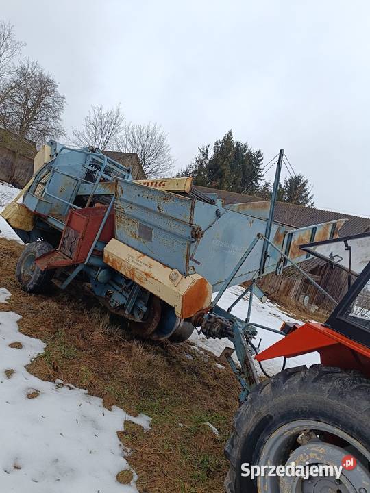 Kombajn ziemniaczany Anna lubelskie Tomaszów Lubelski