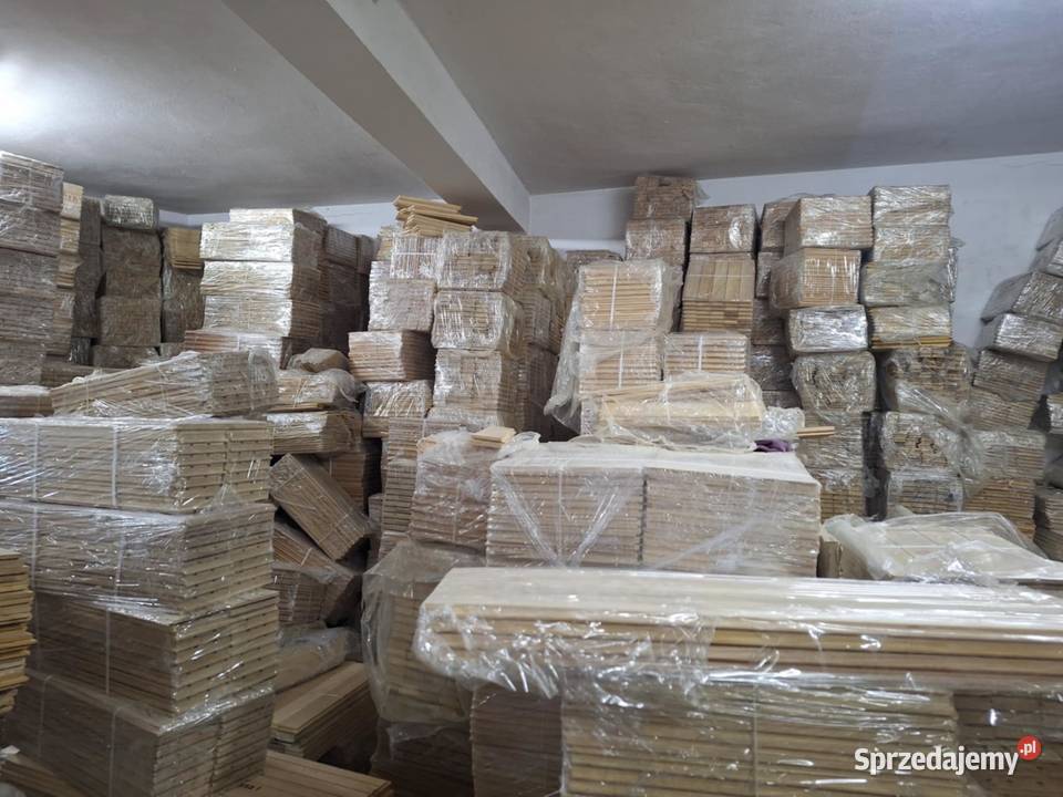 Parkiet Wyprzeda Magazynowa Zima 2025 Dzikowiec