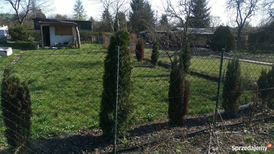 Sprzedam ogródek działkowy Zabrze Biskupice