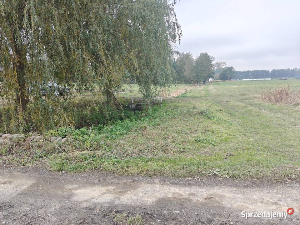 Syndyk sprzeda Kobierne sprzedam