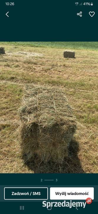 Sianko twojego Konia Krępa