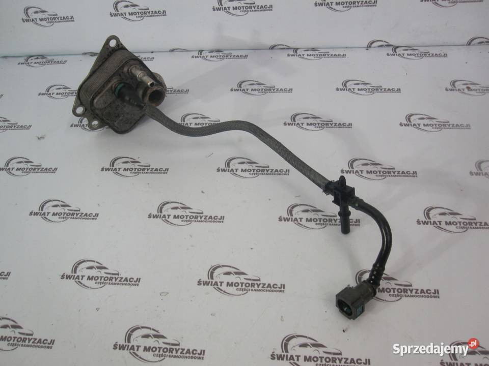 DISCOVERY 08r 27 TDV6 276DT 190 chłodniczka Kielce sprzedam