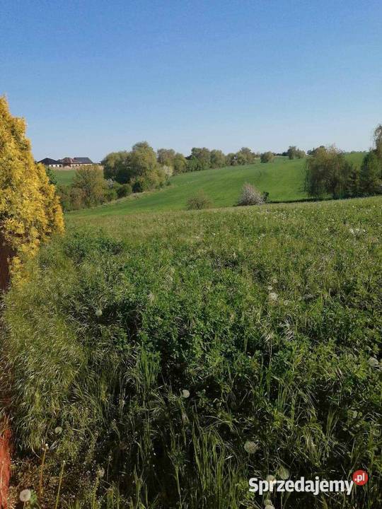 Sprzedaż działki Gostynia prąd Gostyń sprzedam