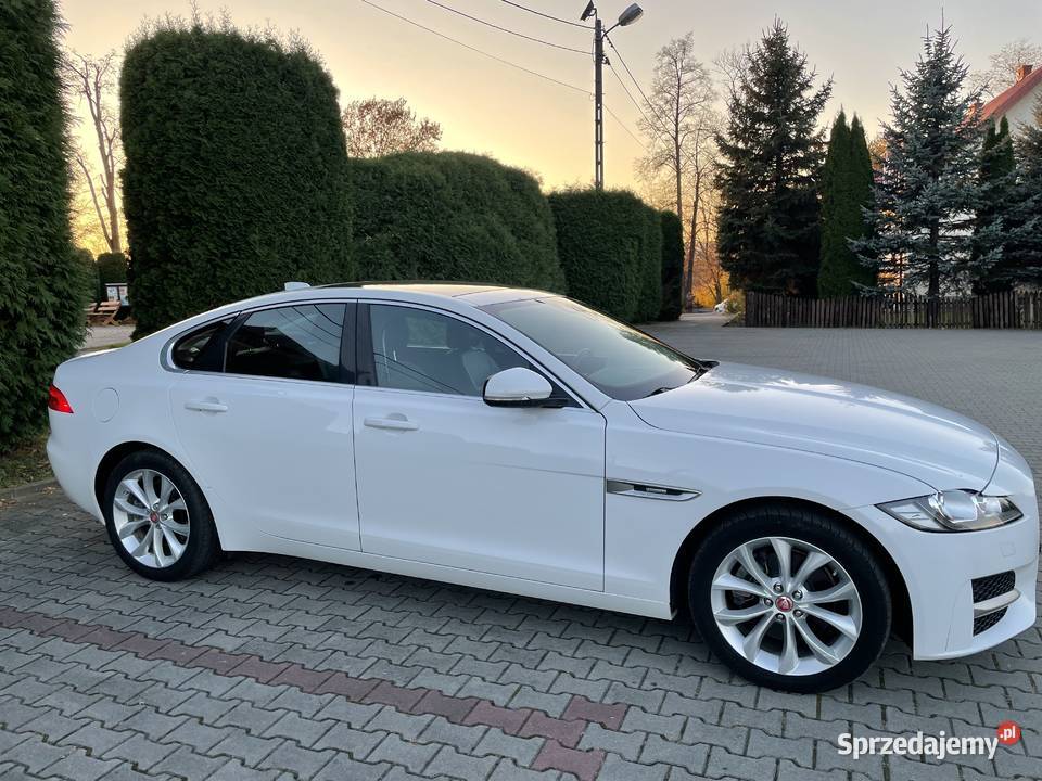 Jaguar XF 20 Benzyna 247hp 25t Premium AWD 2019 sprzedam
