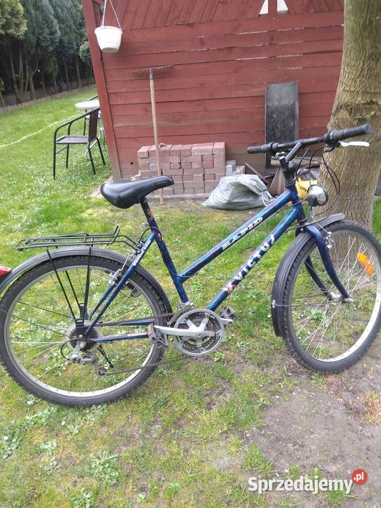 rower górski w stanie Radomsko