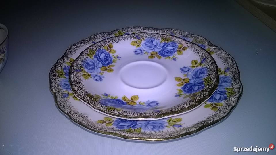 wspaniałe róże winterlinga Katowice