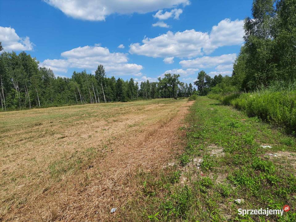 Sprzedam dwie działki Wołomina 34 ha Cięciwa mazowieckie Wołomin