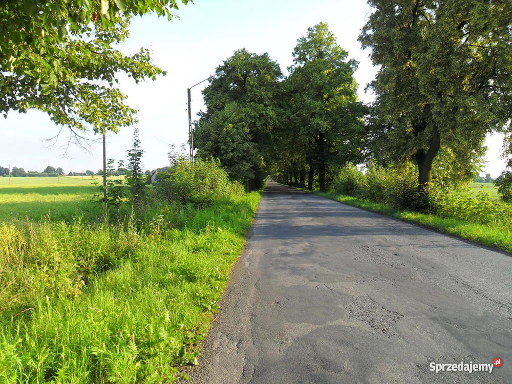 Działka budowlana PRUCHNA 9900m2 Grunty i działki Cieszyn sprzedam