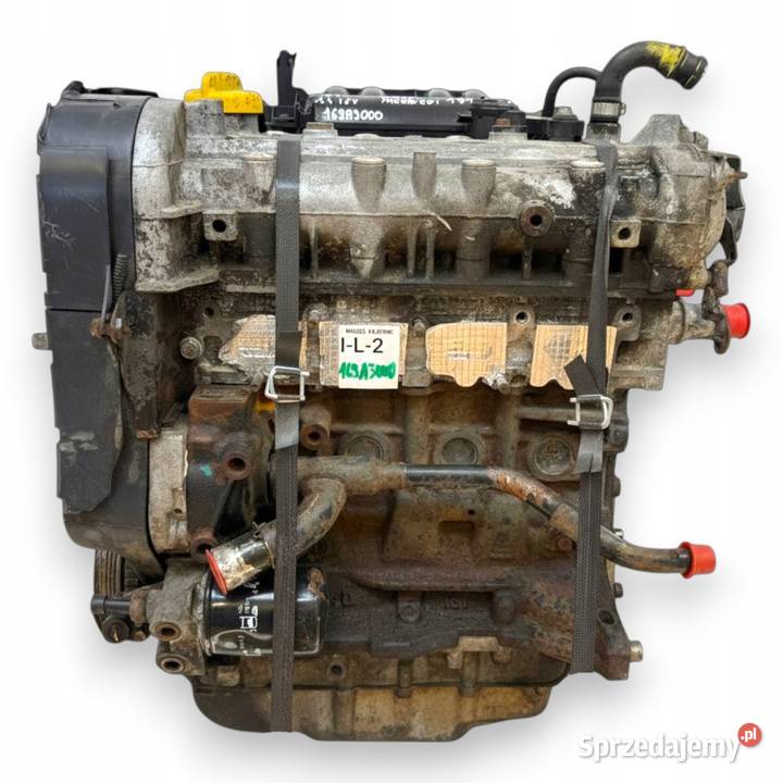 SILNIK 169A3000 Fiat 500 Panda II 14 16V 100 lubelskie Chełm