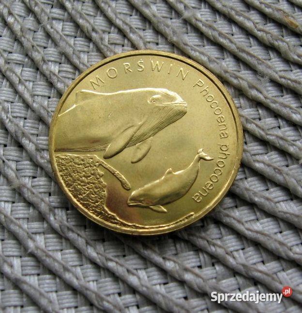 Polska 2 GN 2004r Morświn Ładna Kalisz