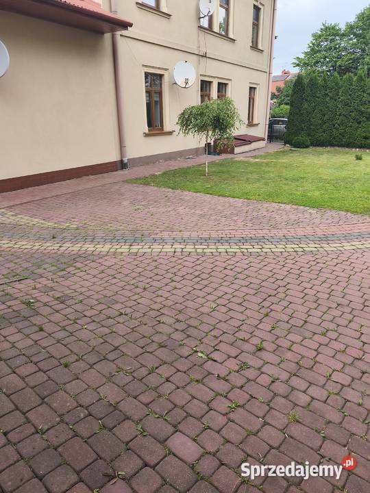 Mieszkanie parter w centrum Jarosław