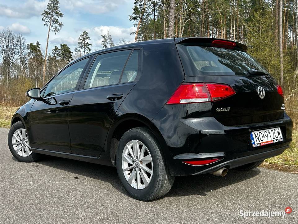 Volkswagen Golf VII 12 TSI BMT Trendline Rok produkcji 2015 Olsztyn sprzedam