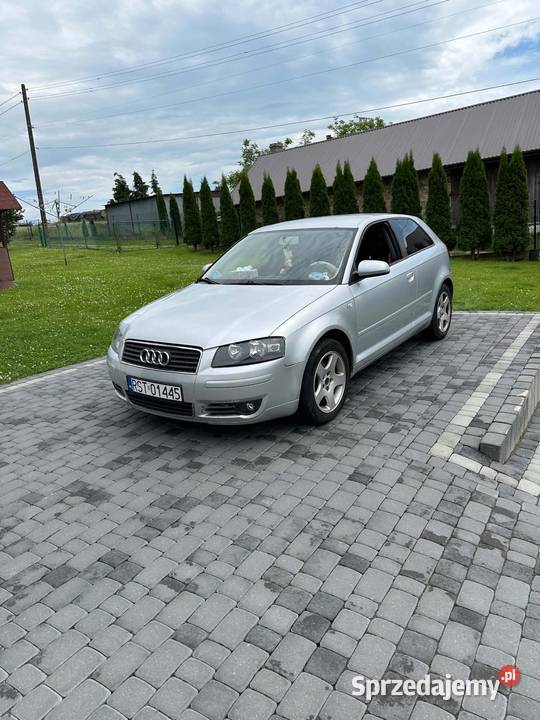 Audi a3 8p 19 tdi 2/3
