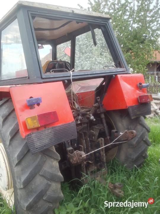 posiadam do sprzedaży ursusa Opole