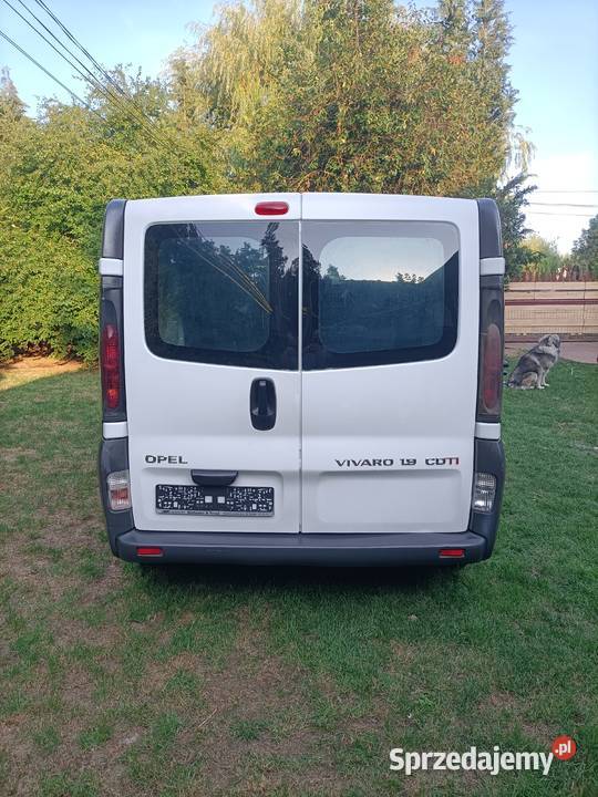 OPEL VIVARO 19 CDTI LONG nieuszkodzony Gorzów Wielkopolski sprzedam