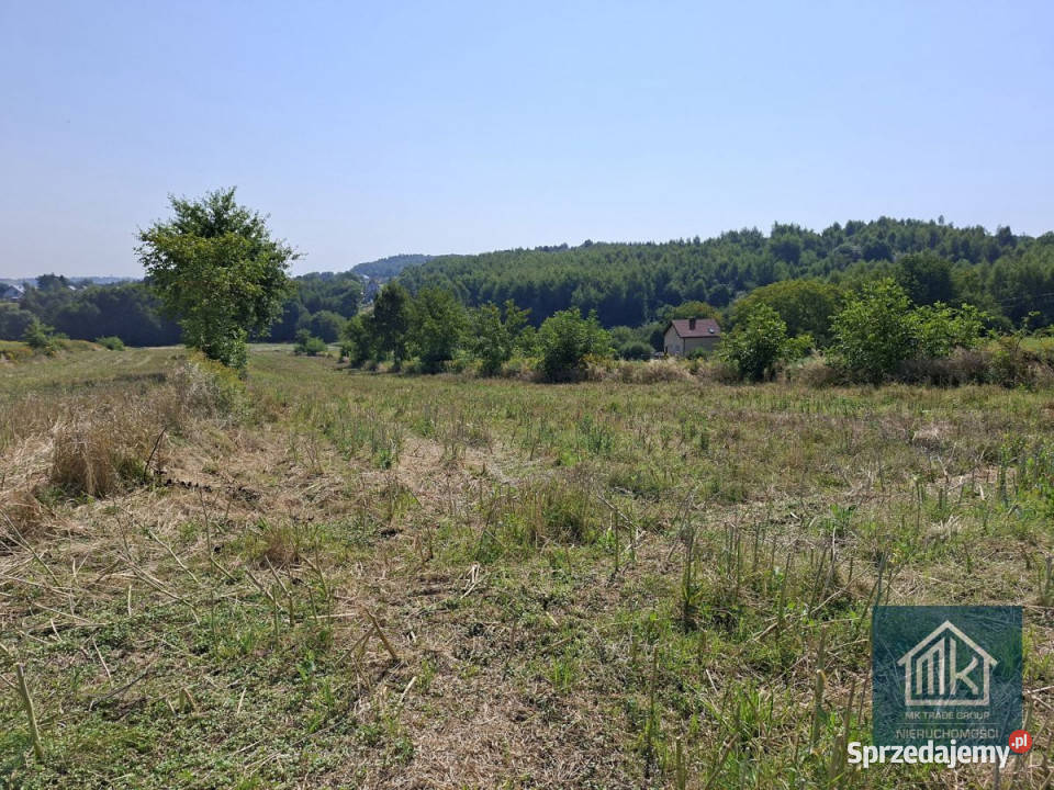 sprzedaży działki Bodzanów 5890m2 240m