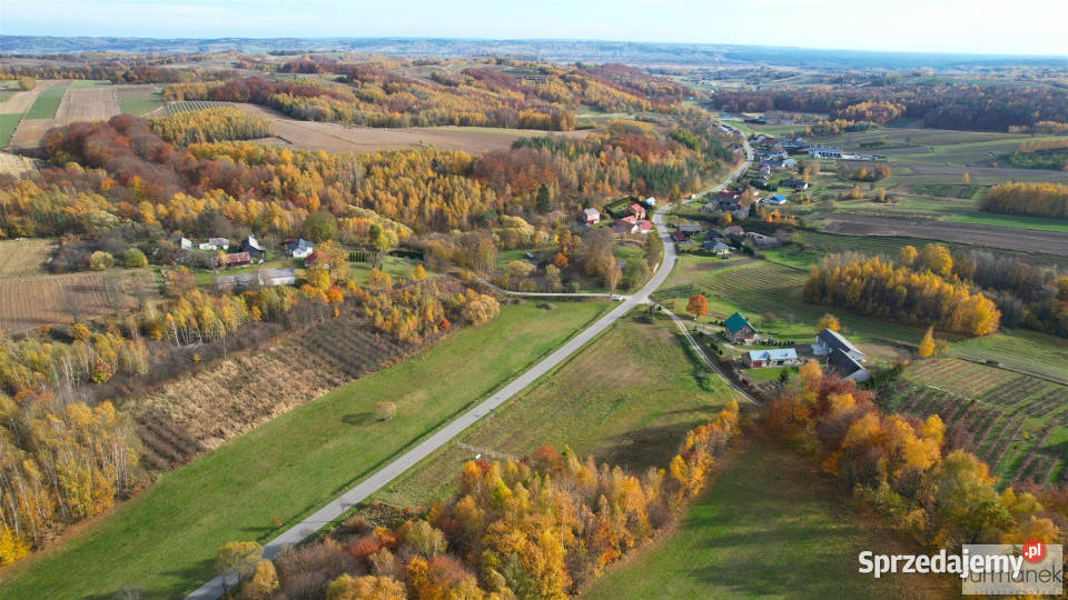 Sprzedaż działki TeodorówkaKolonia 2636m2 Sprzedaż lubelskie