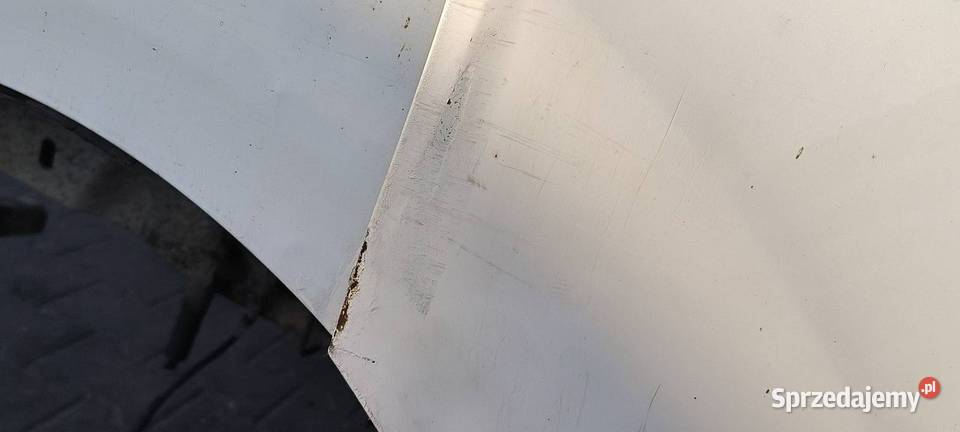 DRZWI LEWE PRZÓD FORD TRANSIT CUSTOM L1H1 FROZEN Lipno