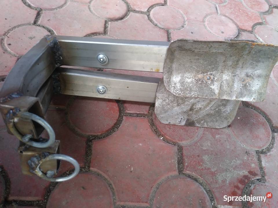 Drzewołazy nowe kolce