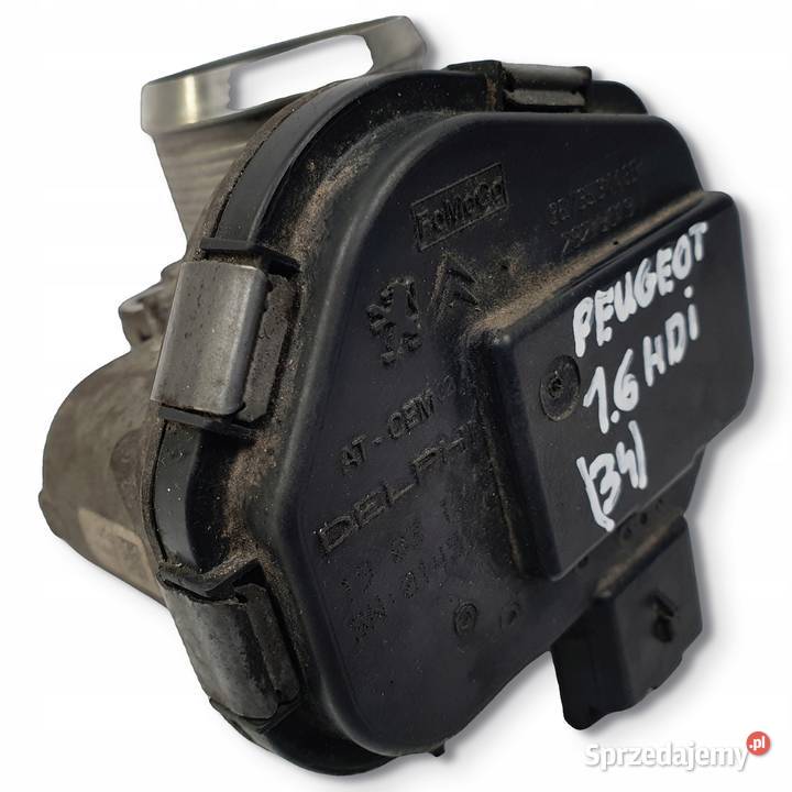 PRZEPUSTNICA Citroen C4 Jumpy II Peugeot 308 16 osobowe Chełm