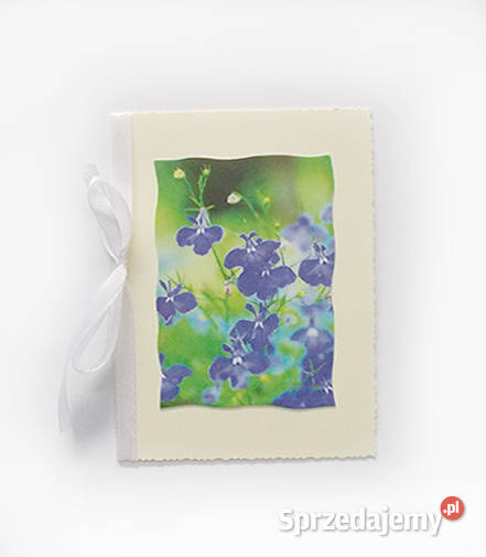 łąka kartka bez życzeń fioletowe kwiatki kartka Rzeszów