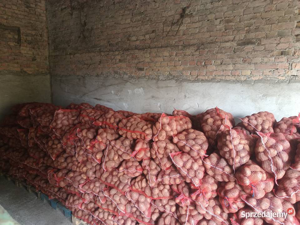 Ziemniaki zachodniopomorskie Barnim