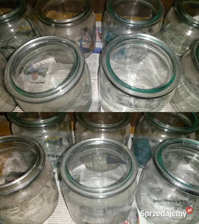 Słoik słoiki słój słoje Wecka wek weki 9 słoików Jaworzno sprzedam