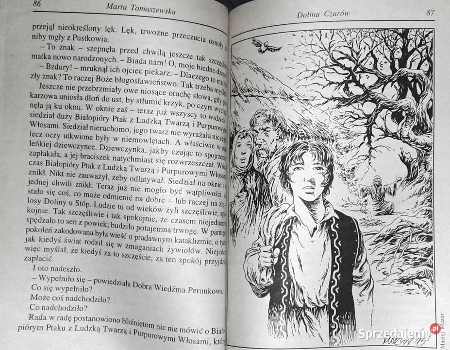 Fenix 5 41 1995 Fantasy Science fiction Horror Chełm