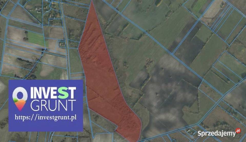 6680 ha przetarg na dzierżawę gruntów rolnych Nieruchomości lubelskie Świerże-Kolonia