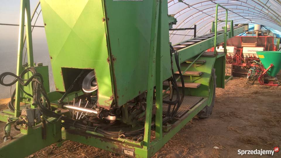 Kombajn do różyczkowania kalafiora brokuła Pacanów