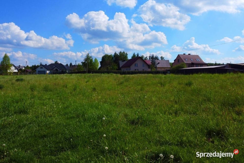 Działka budowlana 2900 m ŁOMNA Nowy Wiśnicz małopolskie