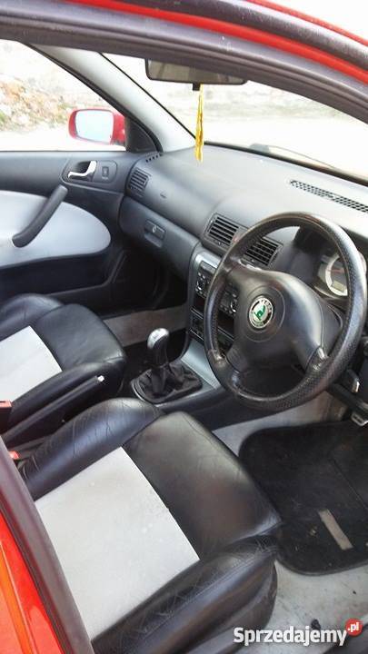 VRS 18T Anglik dolnośląskie Trzebnica