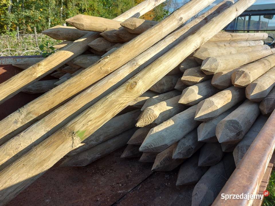 Słupki impregnowane ciśnieniowo 2 letnie Urzędów