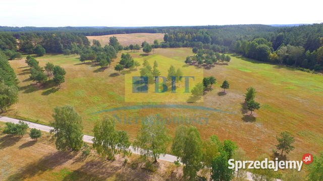 Działka 858 ha z widokiem panoramicznym