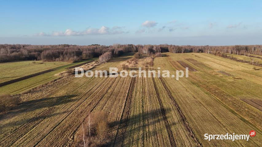 Działka Jodłówka 8587m2