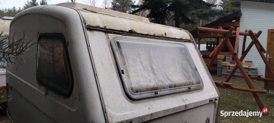 Niewiadów n126 zapiekanka Łódź