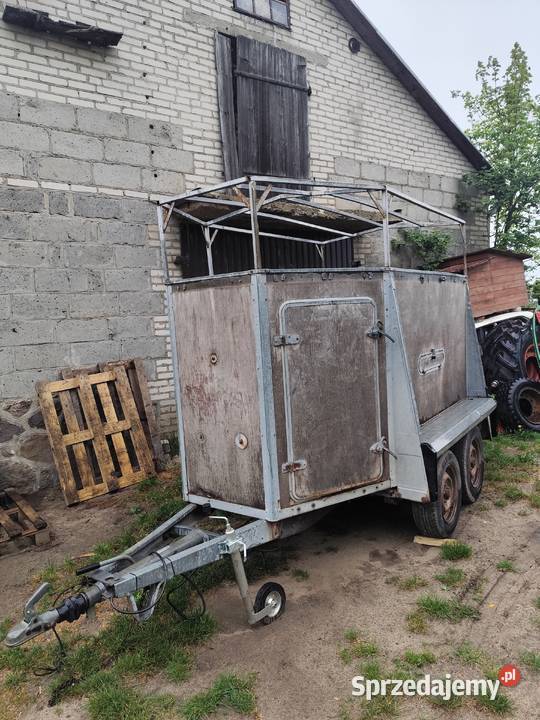 Przyczepka do przewozu koni zwierząt Stara Kornica sprzedam