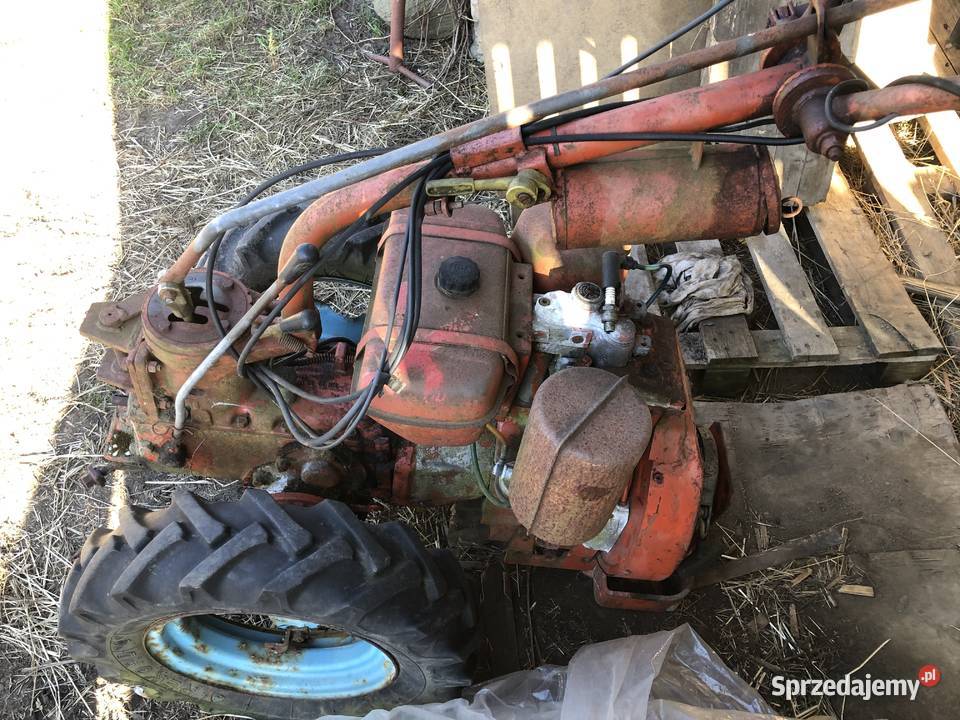 traktorek dzik nibbi wielkopolskie Piła