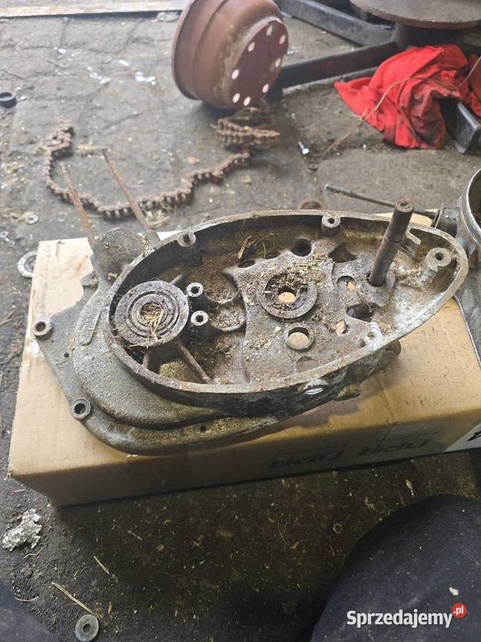 Kartery wsk 125 lubuskie Gorzów Wielkopolski