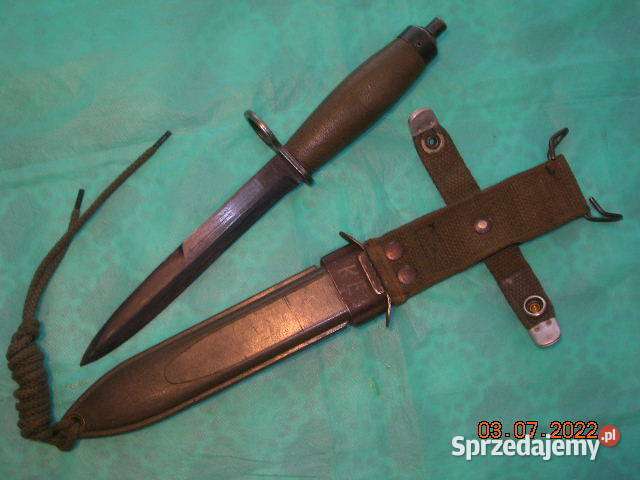 Bagnet Norweski w stanie