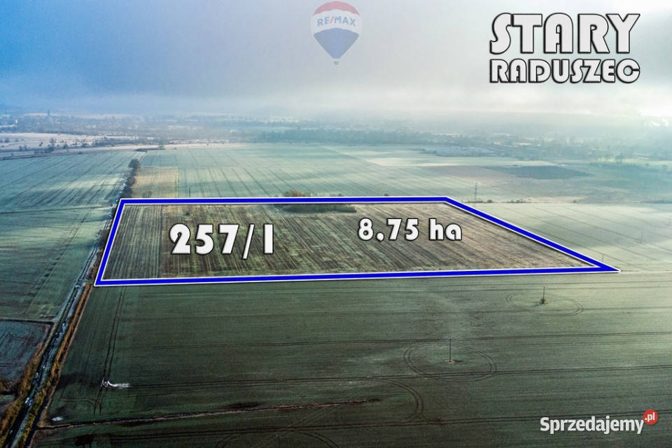 Na sprzedaż grunty orne RIIIa 875 ha Sprzedaż lubuskie