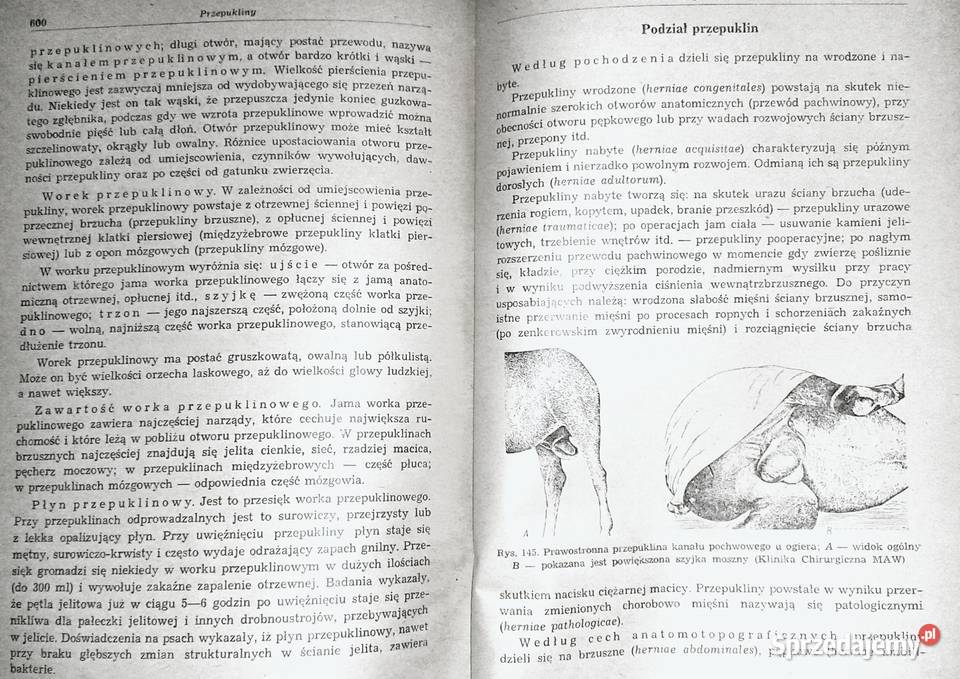 Chirurgia ogólna zwierzat domowych B Oliwkow Chełm sprzedam