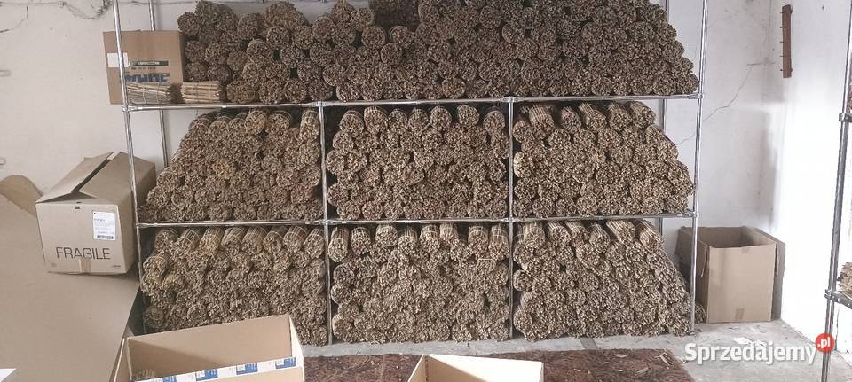 Trzcina pszczoła murarka słomki faktura Vat RR