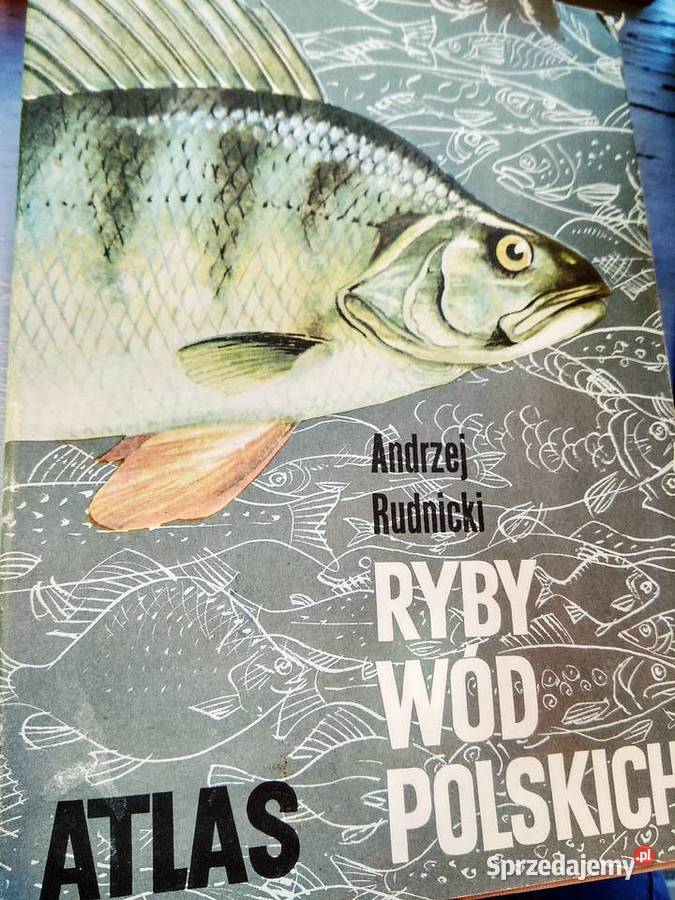 Ryby wód polskich atlas Rudnicki książki używane Antyki, Sztuka, Kolekcje