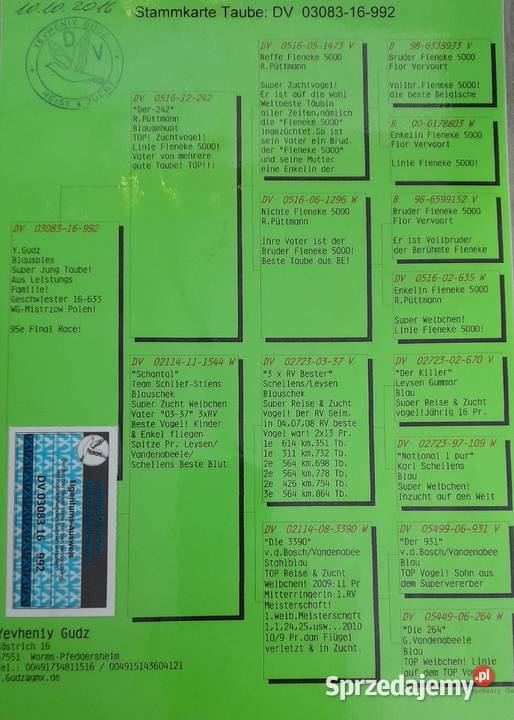 Samiec z rozpłodu Fienieke 5000 Wadowice sprzedam