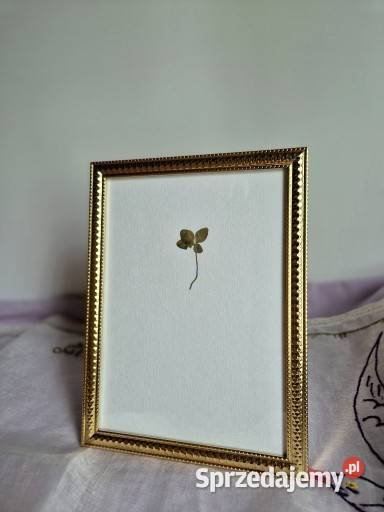 Czterolistna koniczyna na prezent ślubny na małopolskie Brzesko