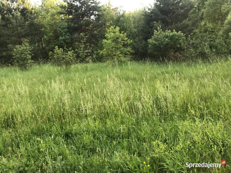 Sprzedam działki budowlane 3000 m2 Bernów