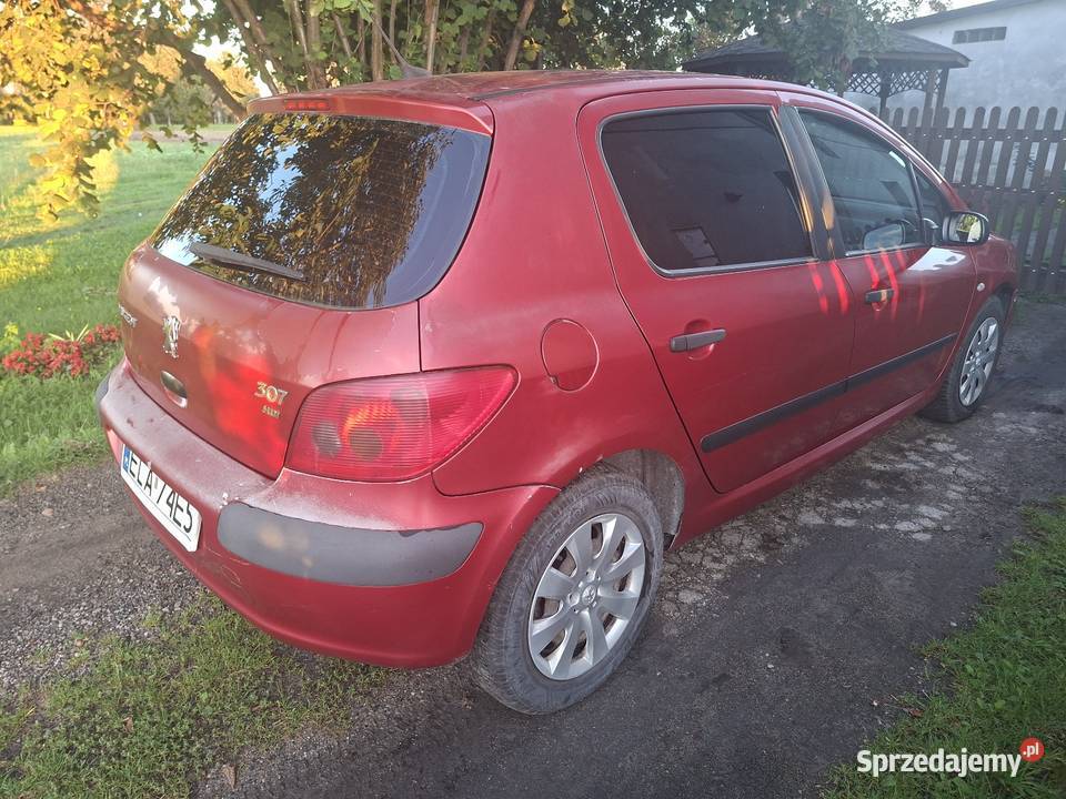 Peugeot 307 20HDI 2003 Łask