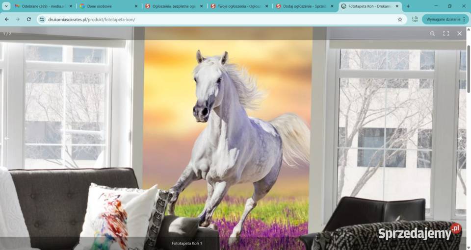 Fototapeta Koń Zabrze